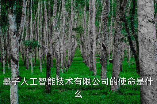 墨子人工智能技術(shù)有限公司的使命是什么
