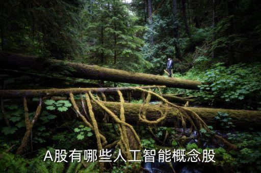 A股有哪些人工智能概念股