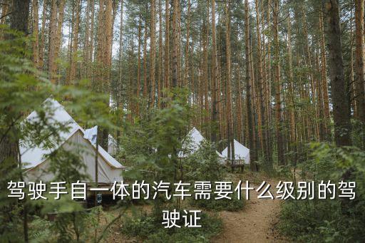 智己l7自動(dòng)駕駛級(jí)別，駕駛手自一體的汽車(chē)需要什么級(jí)別的駕駛證