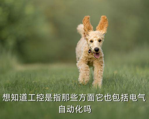想知道工控是指那些方面它也包括電氣自動化嗎