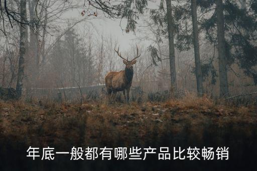 2022年什么產(chǎn)品最暢銷，未來5年最暢銷的產(chǎn)品是什么