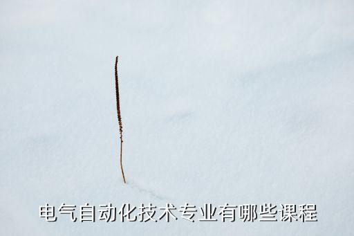 電氣自動(dòng)化技術(shù)專業(yè)有哪些課程