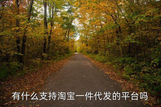 一件代發(fā)供應(yīng)鏈平臺(tái)，有什么支持淘寶一件代發(fā)的平臺(tái)嗎