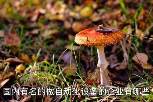 國內(nèi)有名的做自動化設(shè)備的企業(yè)有哪些