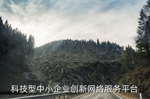 科技創(chuàng)新服務(wù)平臺(tái)，科技型中小企業(yè)創(chuàng)新網(wǎng)絡(luò)服務(wù)平臺(tái)