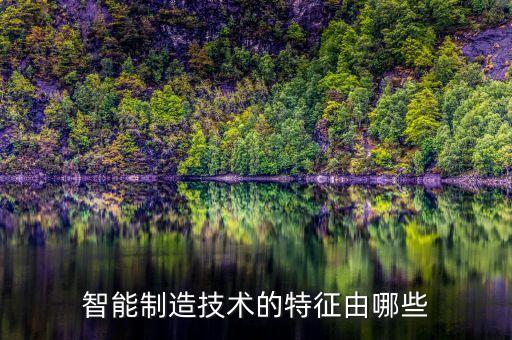 智能制造技術(shù)的特征由哪些