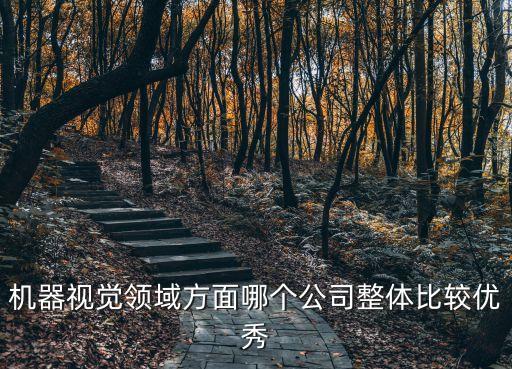 機(jī)器視覺領(lǐng)域方面哪個(gè)公司整體比較優(yōu)秀