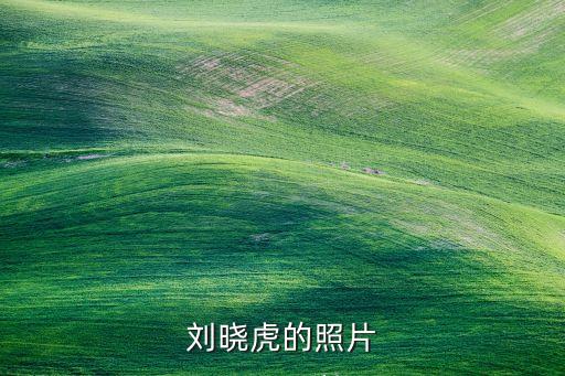 劉曉虎個人資料簡介，劉曉虎的照片