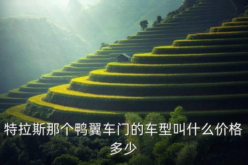 新能源特拉斯汽車價格，特拉斯那個鴨翼車門的車型叫什么價格多少