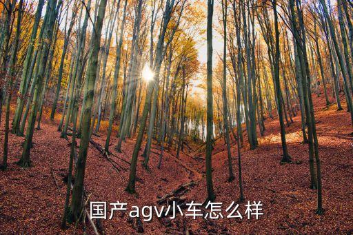 國產(chǎn)agv小車怎么樣