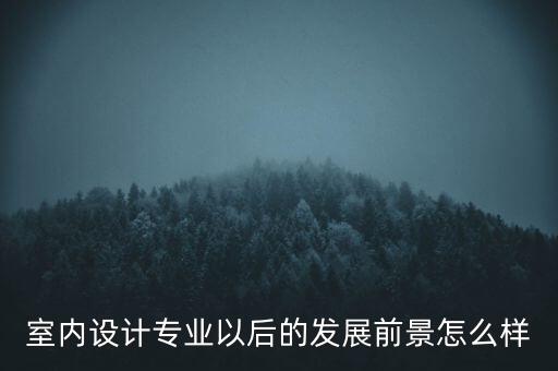 室內(nèi)設(shè)計專業(yè)以后的發(fā)展前景怎么樣