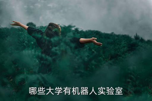 哪些大學(xué)有機器人實驗室