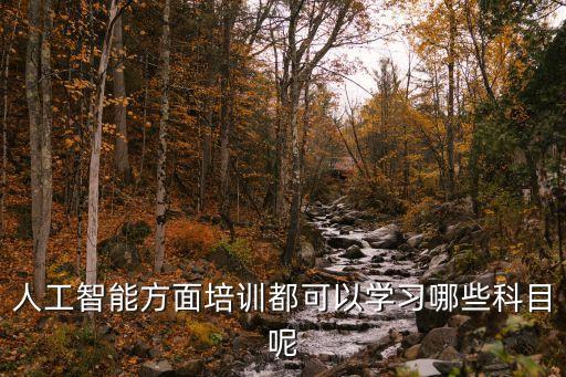 人工智能方面培訓(xùn)都可以學(xué)習(xí)哪些科目呢