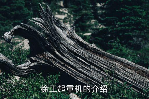 徐州重型機(jī)械有限公司吊車，徐州重型機(jī)械廠附近租個好租嗎價格多少