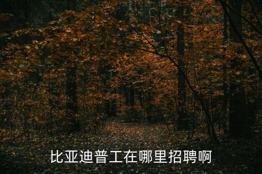 比亞迪普工在哪里招聘啊
