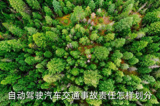 自動(dòng)駕駛車禍身亡，優(yōu)步自動(dòng)駕駛撞死行人200字作文