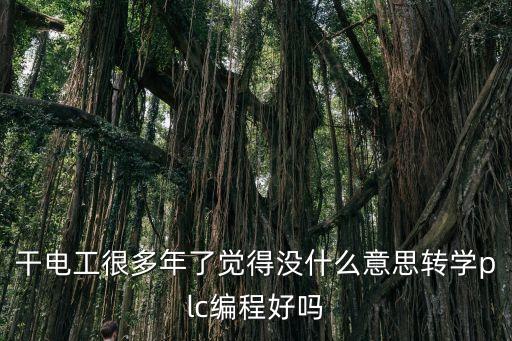 電工PLC培訓(xùn)，干電工很多年了覺得沒什么意思轉(zhuǎn)學(xué)plc編程好嗎