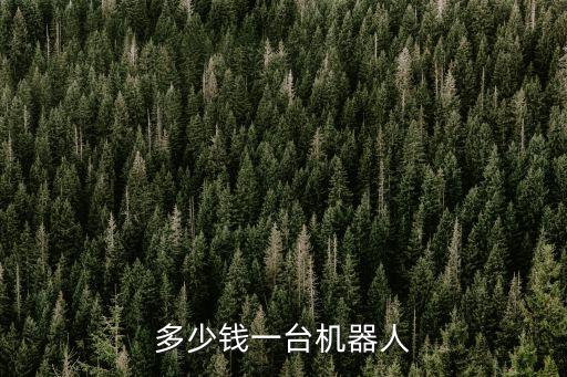 人體機器人多少錢一個，機器人多少錢一個