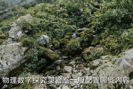物理數(shù)字探究實(shí)驗(yàn)室一般配置哪些內(nèi)容