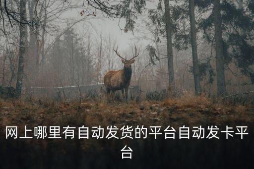 網(wǎng)上哪里有自動發(fā)貨的平臺自動發(fā)卡平臺