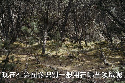 圖像識別的應(yīng)用場景有哪些，圖像識別技術(shù)應(yīng)用范圍
