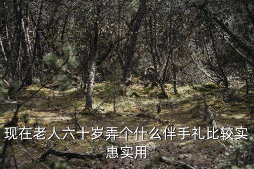 現(xiàn)在老人六十歲弄個什么伴手禮比較實惠實用
