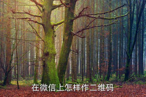 在微信上怎樣作二維碼
