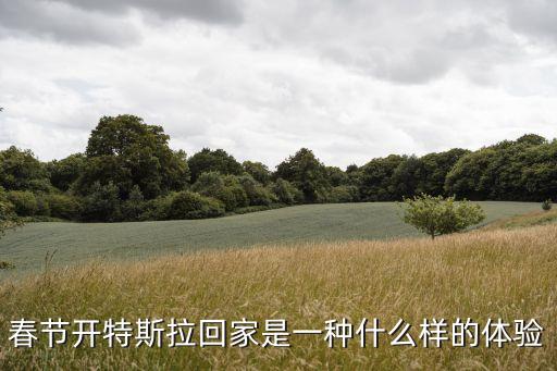 春節(jié)開(kāi)特斯拉回家是一種什么樣的體驗(yàn)