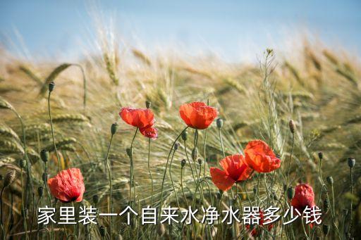 家里裝一個自來水凈水器多少錢