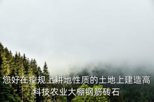 您好在控規(guī)上耕地性質(zhì)的土地上建造高科技農(nóng)業(yè)大棚鋼筋磚石