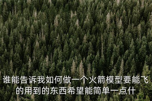 誰能告訴我如何做一個(gè)火箭模型要能飛的用到的東西希望能簡單一點(diǎn)什