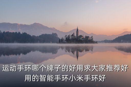 運(yùn)動(dòng)手環(huán)哪個(gè)牌子的好用求大家推薦好用的智能手環(huán)小米手環(huán)好
