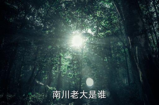 南川老大是誰