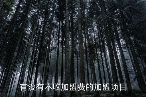 有沒(méi)有不收加盟費(fèi)的加盟項(xiàng)目
