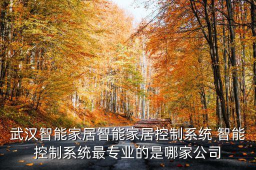 智能家居控制系統(tǒng)加盟代理，聰明屋智能家居系統(tǒng)加盟怎么樣