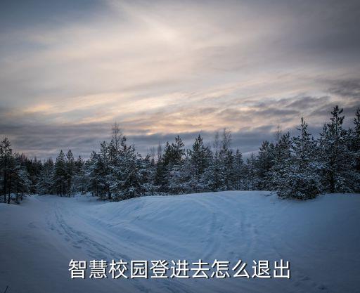 智慧校園登進去怎么退出