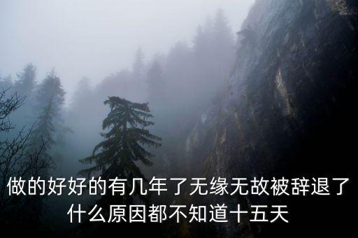 做的好好的有幾年了無緣無故被辭退了什么原因都不知道十五天