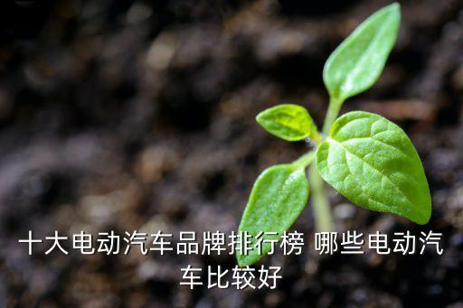 性價比純電動汽車排名前十名，十大電動汽車品牌排行榜 哪些電動汽車比較好
