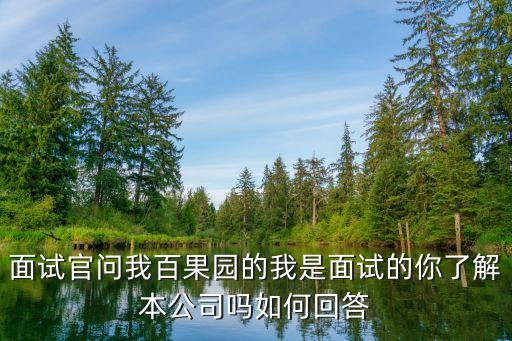有米科技面試，同時(shí)面試了幾個公司指盟多盟有米都通過了我該選誰