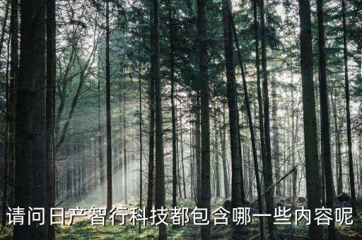 智能駕駛的科技有哪些，請問日產(chǎn)智行科技都包含哪一些內(nèi)容呢