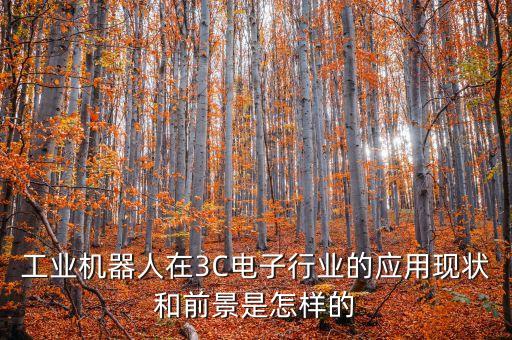 工業(yè)機(jī)器人在3C電子行業(yè)的應(yīng)用現(xiàn)狀和前景是怎樣的