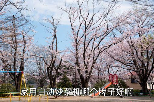 自動炒菜機哪個牌子最好，家用自動炒菜機哪個牌子好啊