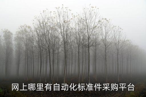網(wǎng)上哪里有自動(dòng)化標(biāo)準(zhǔn)件采購(gòu)平臺(tái)