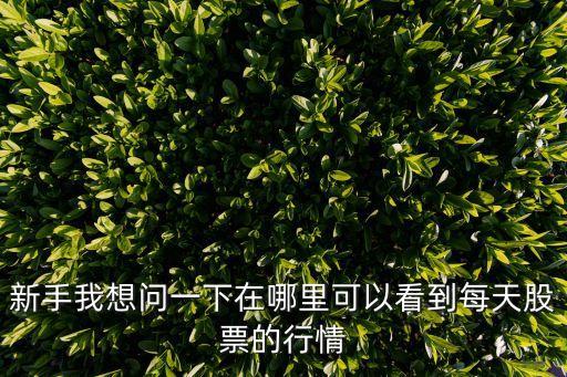 新手我想問一下在哪里可以看到每天股票的行情