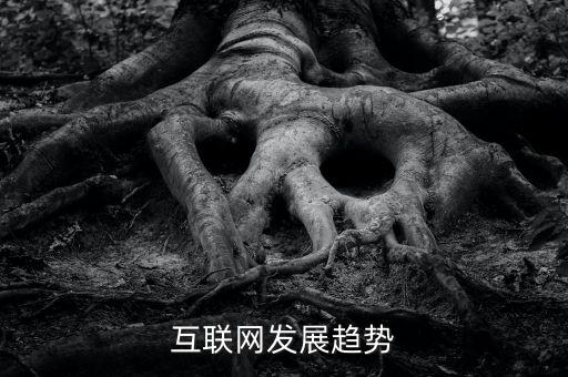 互聯(lián)網(wǎng)發(fā)展趨勢