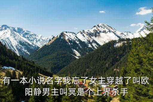 科技之門(mén) 小說(shuō)，有一本小說(shuō)名字我忘了女主穿越了叫歐陽(yáng)靜男主叫冥是個(gè)上界殺手