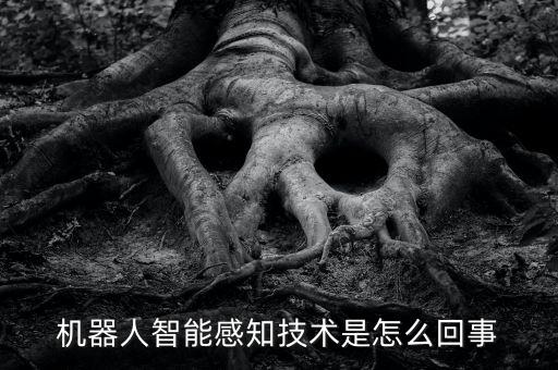 智能駕駛感知技術(shù)，機(jī)器人智能感知技術(shù)是怎么回事