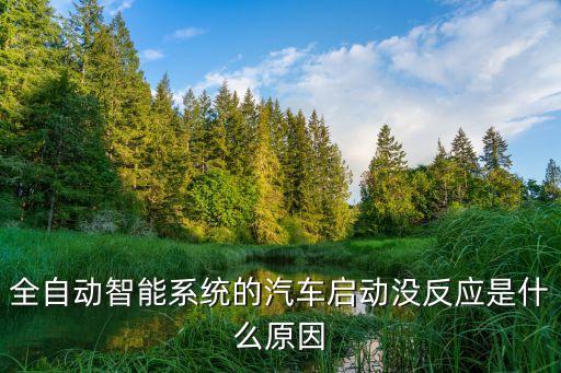 全自動(dòng)智能系統(tǒng)的汽車啟動(dòng)沒(méi)反應(yīng)是什么原因