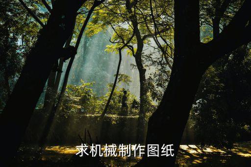 求機(jī)械制作圖紙