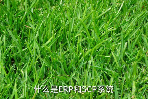 什么是ERP和SCP系統(tǒng)
